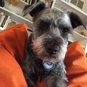 Meet your Posher, Louise